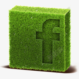 Facebook草草地社会图标图标