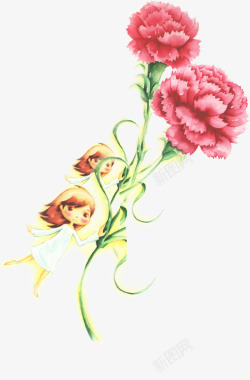 感恩康乃馨花朵植物花仙子手绘素材