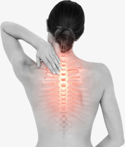 背部健康女性的背部脊椎图高清图片
