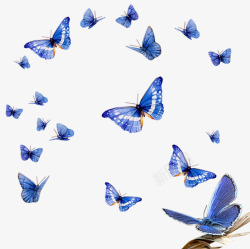 蝴蝶的海报蓝色飞翔海报卡通蝴蝶高清图片