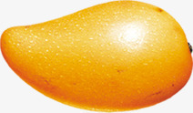 黄色夏日水果芒果素材