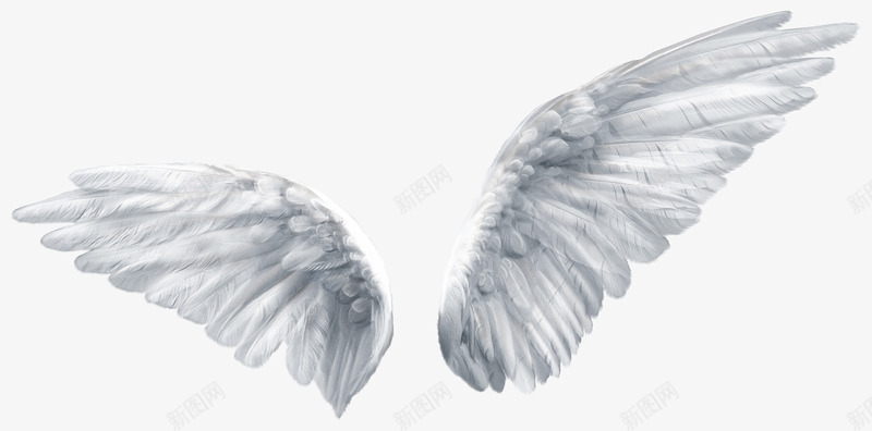天使的翅膀实物图png免抠素材_新图网 https://ixintu.com 天使与魔鬼 天使羽翼 天使翅膀 张开的 白色羽毛 美丽的 羽毛 翅膀