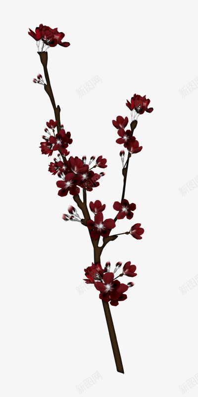 一颗梅花树png免抠素材_新图网 https://ixintu.com 好看 手绘 红色 鲜花