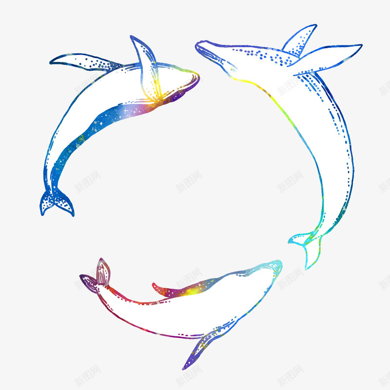 手绘鲸鱼png免抠素材_新图网 https://ixintu.com 三条鱼 手绘画 矢量装饰 装饰 鲸鱼