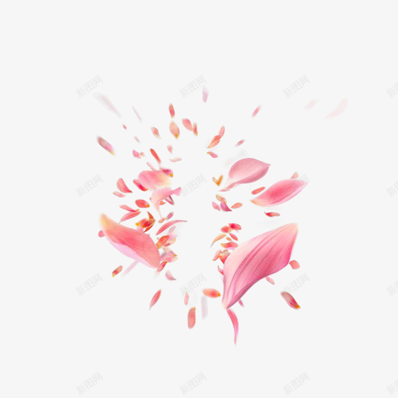 创意粉色花瓣png免抠素材_新图网 https://ixintu.com 创意 动感 花卉 花瓣