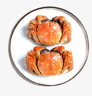 盘子里的螃蟹png免抠素材_新图网 https://ixintu.com 海鲜 盘子 螃蟹