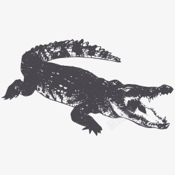 素描鳄鱼手绘黑色素描鳄鱼高清图片