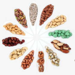 核桃淘宝主图免费下载五颜六色的豆豆高清图片