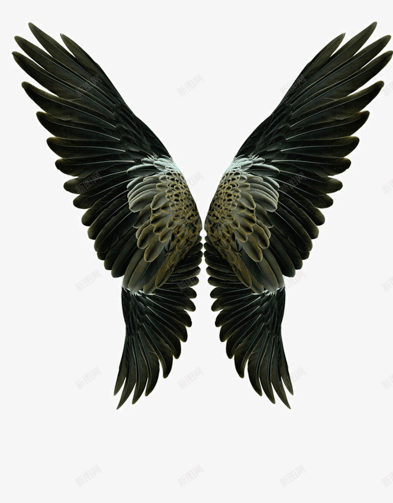 翅膀png免抠素材_新图网 https://ixintu.com 创意广告 天使羽翼 天使翅膀 绚丽唯美 羽毛 翅膀样式 飞翔的翅膀