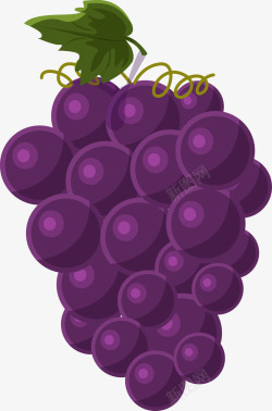 果实素材新鲜葡萄矢量图高清图片