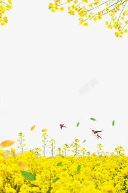 春色幽静春季油菜花装饰边框高清图片