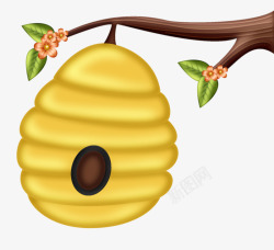 黄色蜂巢素材