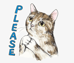 请求的小猫素材