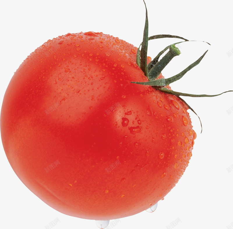 鲜红西红柿番茄圣女果png免抠素材_新图网 https://ixintu.com 圣女果 圣女果图片 小番茄 带叶子的小番茄 水果蔬菜 水果蔬菜图片 番茄 红色水果 美味的番茄水果 西红柿