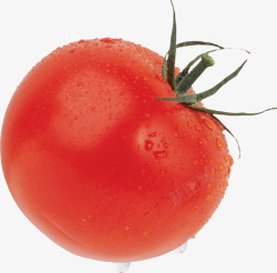 鲜红西红柿鲜红西红柿番茄圣女果高清图片