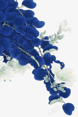 白色文艺花朵蓝色树叶素材