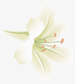 文艺白色花朵美景素材