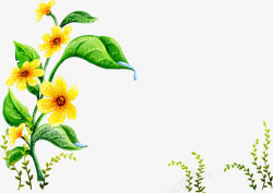 花朵木簪树树木木高清图片