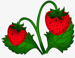 两颗草莓两颗草莓高清图片