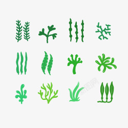 藻简约绿色海洋珊瑚藻矢量图高清图片