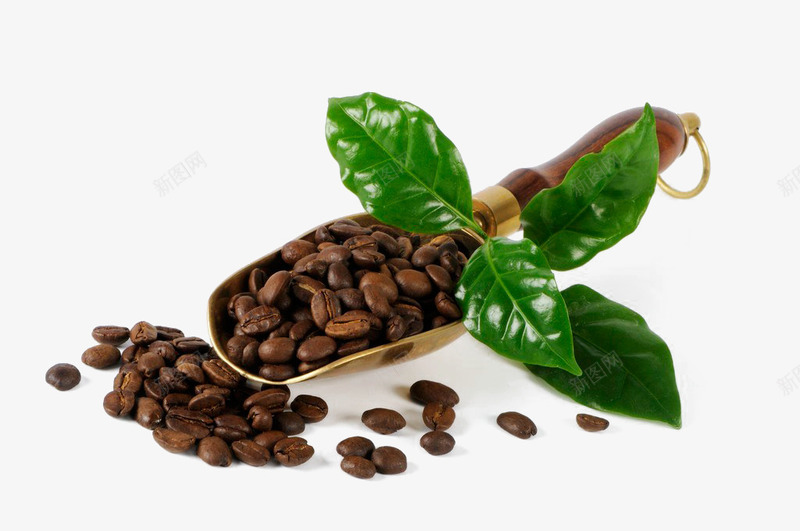 咖啡豆png免抠素材_新图网 https://ixintu.com 可可豆 咖啡 咖啡豆