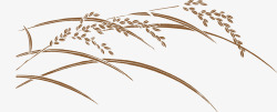 麦穗描线画手绘稻米高清图片