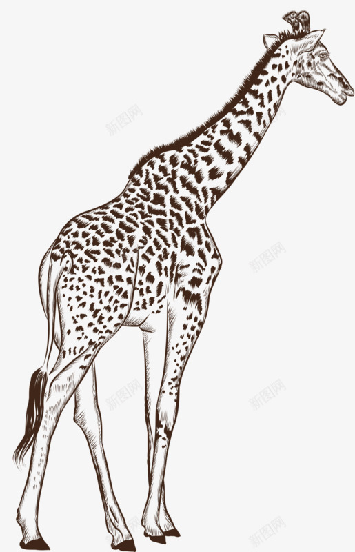卡通手绘长颈鹿png免抠素材_新图网 https://ixintu.com 动物 生命 稀有动物 长劲鹿
