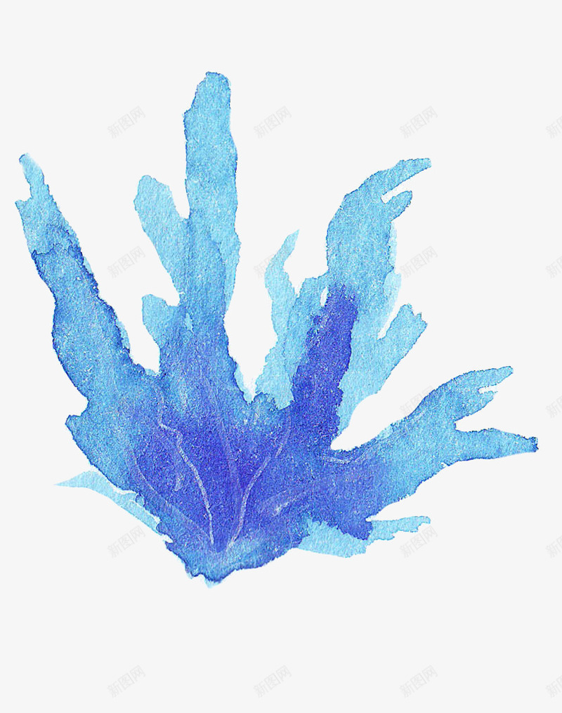 蓝色海草海藻植物png免抠素材_新图网 https://ixintu.com 植物 水彩风 海草 海葵图片 海藻 涂鸦 草