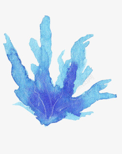 蓝色的海草蓝色海草海藻植物高清图片