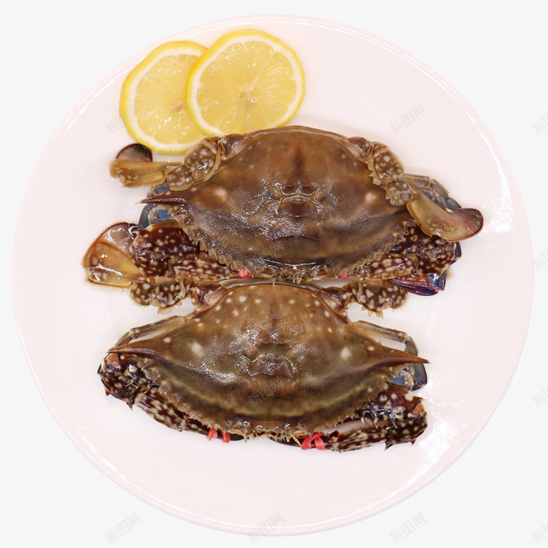 两只螃蟹png免抠素材_新图网 https://ixintu.com 产品实物 动物 海鲜 食物