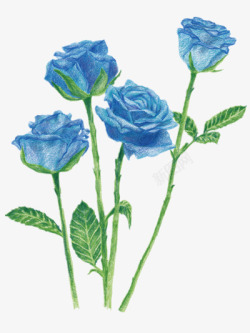 蓝色手绘工艺花样贴纸蓝色玫瑰高清图片