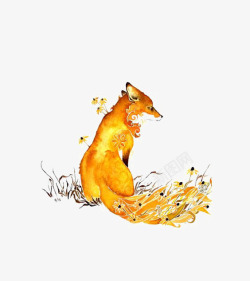 黄狐狐狸高清图片