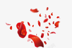 花瓣透明红色花瓣高清图片