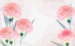 粉红康乃馨手绘粉红色康乃馨高清图片