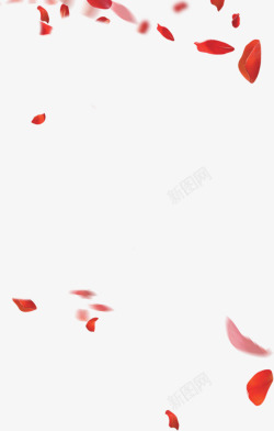 花瓣集合红色花瓣大集合装饰高清图片