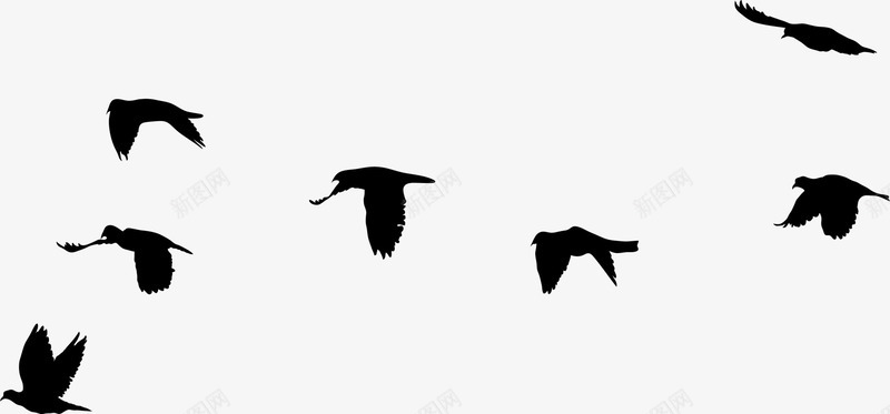 黑色飞鸟群图标图标