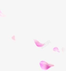 粉色花瓣宝贝背景素材
