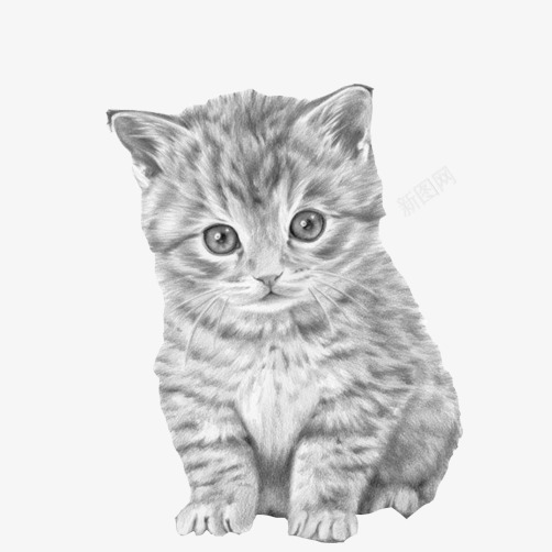 猫咪素描黑白手绘画psd免抠素材_新图网 https://ixintu.com 填色练习 小猫 小猫幼崽 手绘图片 素描猫 素描画 黑白画面