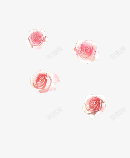 粉红色玫瑰花玫瑰花朵png免抠素材_新图网 https://ixintu.com 玫瑰 玫瑰花 粉红色 花朵