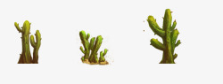 绿色植物图案素材