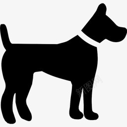 狗符号名项目图标图标