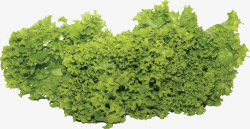 绿色健康植物素材
