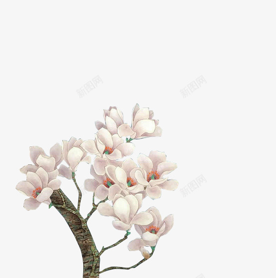 粉白色文艺花朵树枝png免抠素材_新图网 https://ixintu.com 文艺 树枝 粉白色 花朵