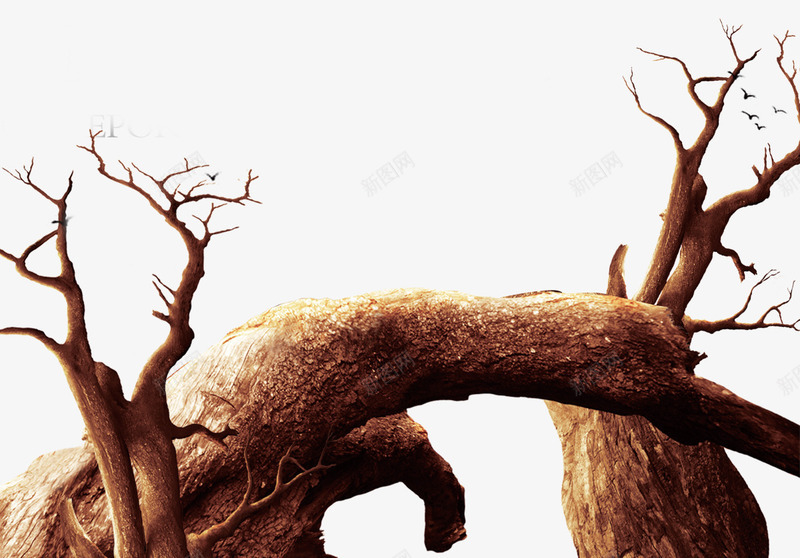 老树的树干枝干png免抠素材_新图网 https://ixintu.com 木头 木桩 树 树枝