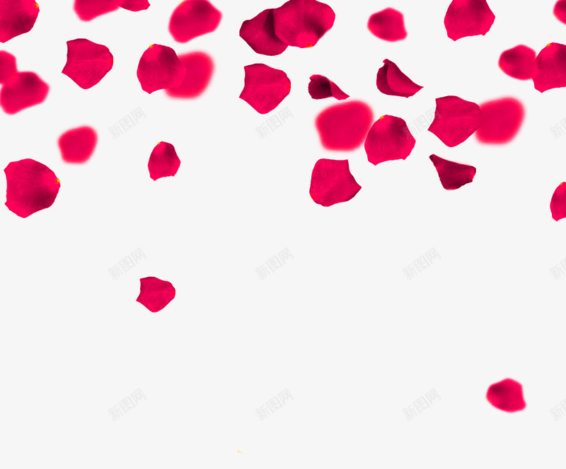 红色玫瑰花瓣漂浮png免抠素材_新图网 https://ixintu.com 免抠PNG 漂浮素材 玫瑰花瓣 红色 花瓣