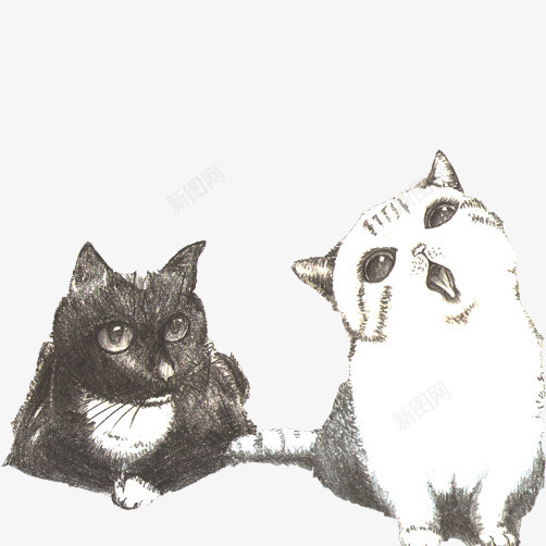 素描猫咪片png免抠素材_新图网 https://ixintu.com 张嘴卖萌 白猫 素描画 黑猫 黑猫简笔画