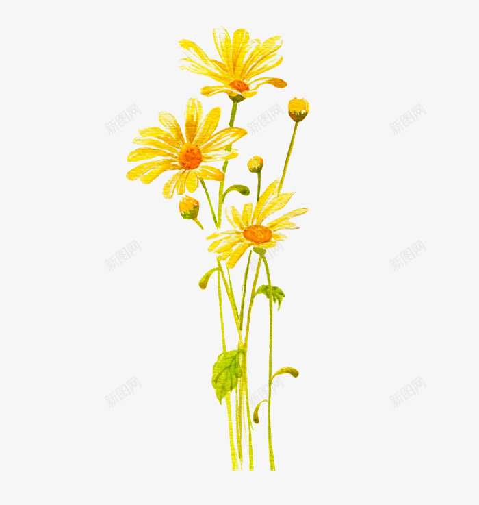 黄色金盏花png免抠素材_新图网 https://ixintu.com PNG图形 植物 装饰 金盏花 黄色