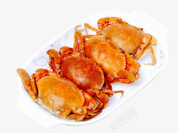 海蟹素材