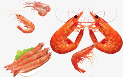 虾类食物小龙虾高清图片