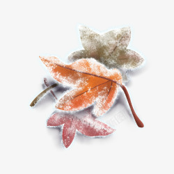 枯叶PNG手绘霜降三片红色枫叶高清图片
